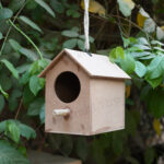 Raw Bird house