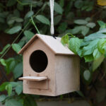 Raw Bird house