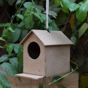 Raw Bird house