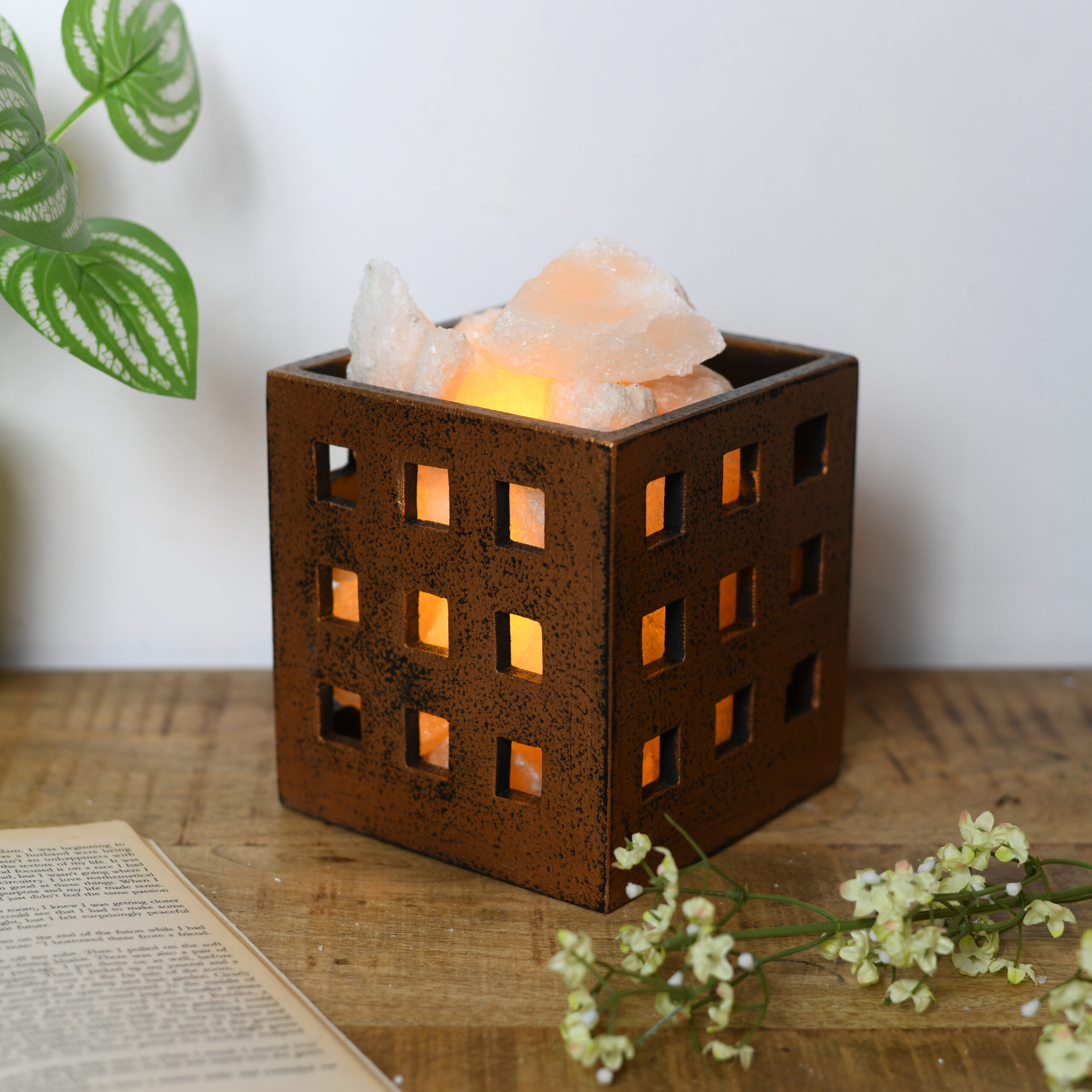 Brown Rock Salt Lamp - Image 1
