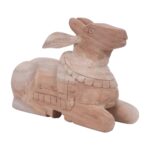 Nandi - Image 4