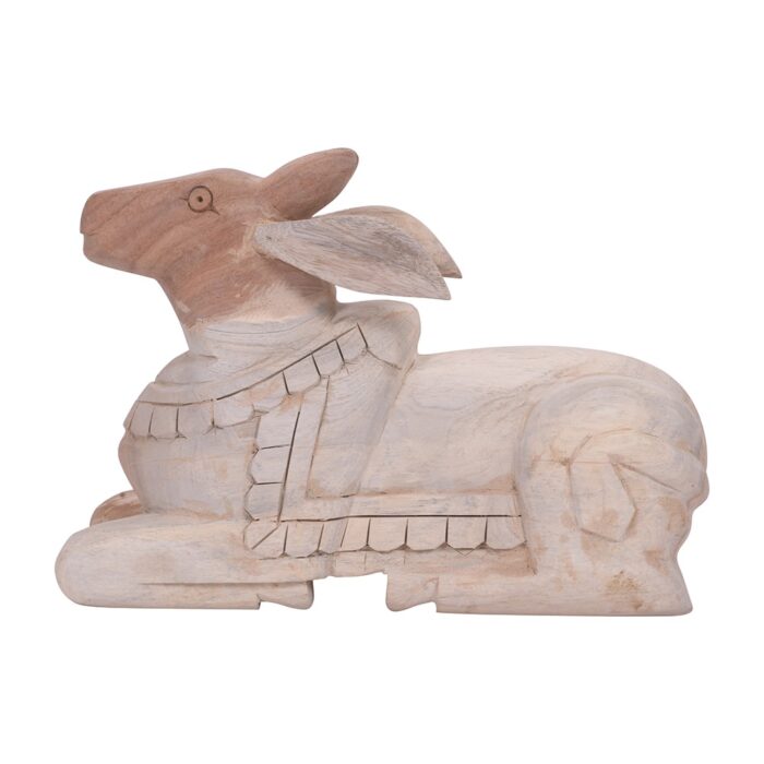 Nandi - Image 2
