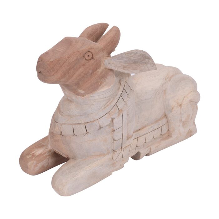 Nandi - Image 3