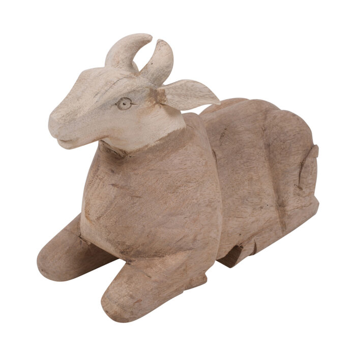 Nandi - Image 5