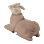 Nandi - Image 3