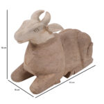 Nandi - Image 2